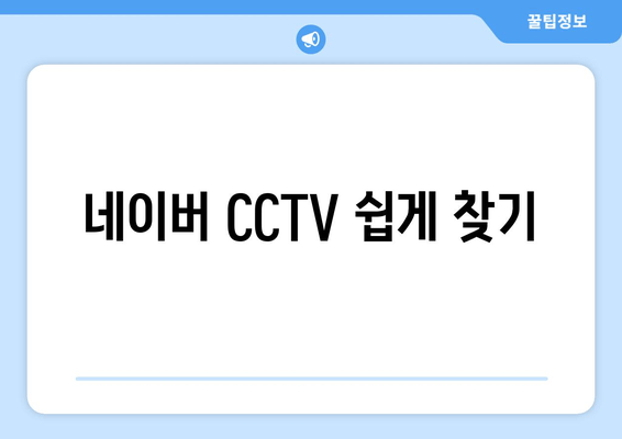 네이버 CCTV 쉽게 찾기