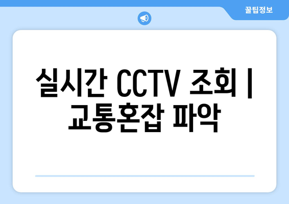 실시간 CCTV 조회 | 교통혼잡 파악