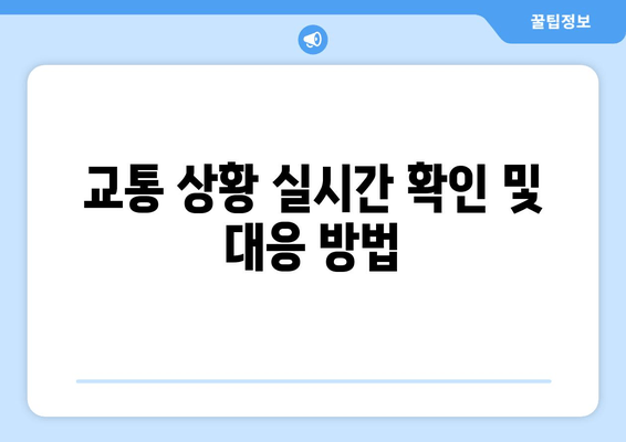 교통 상황 실시간 확인 및 대응 방법