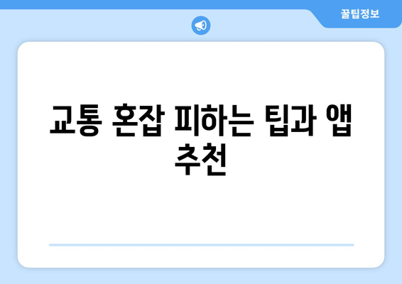 교통 혼잡 피하는 팁과 앱 추천