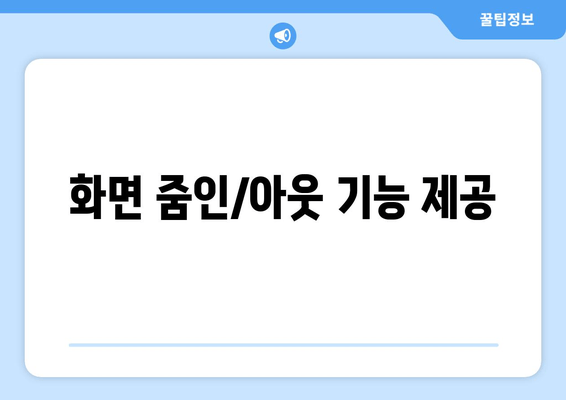 화면 줌인/아웃 기능 제공