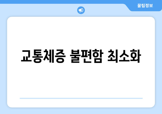 교통체증 불편함 최소화