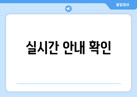 실시간 안내 확인