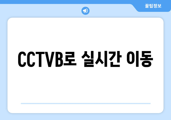 CCTVB로 실시간 이동