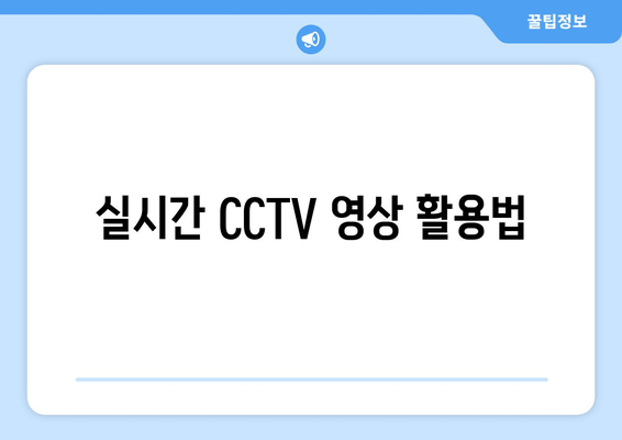 실시간 CCTV 영상 활용법