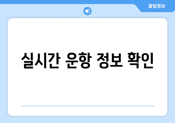 실시간 운항 정보 확인