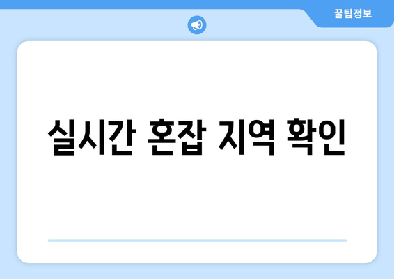 실시간 혼잡 지역 확인