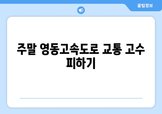 주말 영동고속도로 교통 고수 피하기