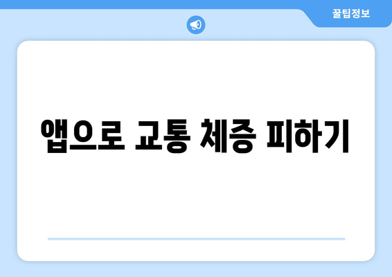 앱으로 교통 체증 피하기