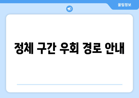 정체 구간 우회 경로 안내