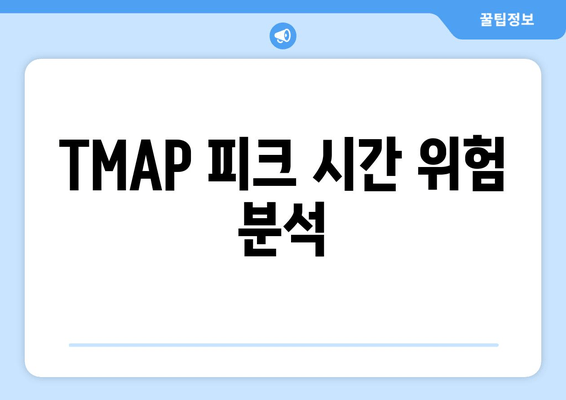 TMAP 피크 시간 위험 분석