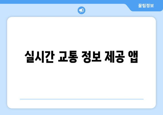 실시간 교통 정보 제공 앱