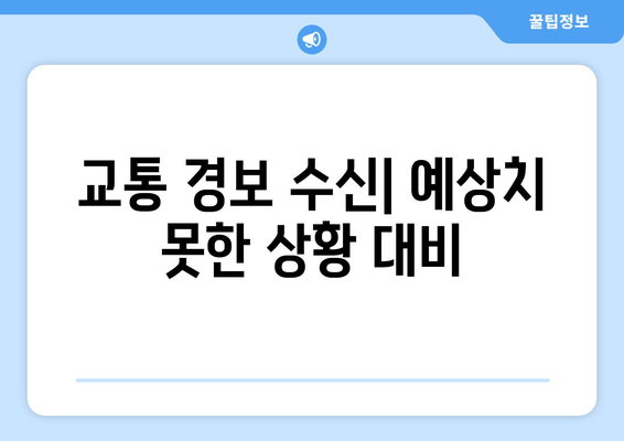 교통 경보 수신| 예상치 못한 상황 대비