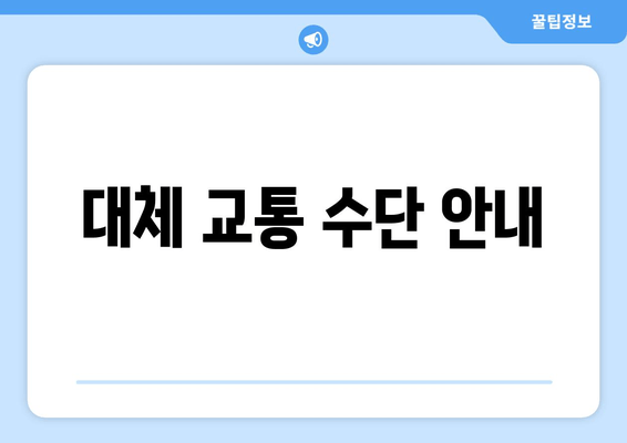 대체 교통 수단 안내