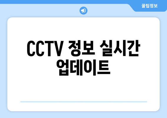 CCTV 정보 실시간 업데이트