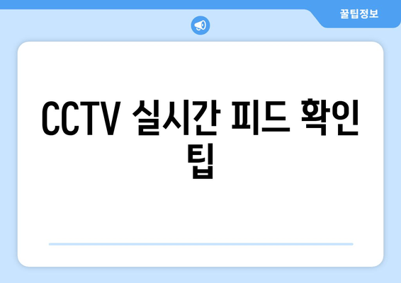 CCTV 실시간 피드 확인 팁