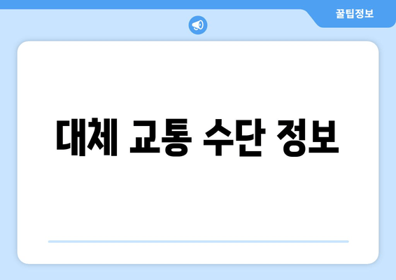 대체 교통 수단 정보