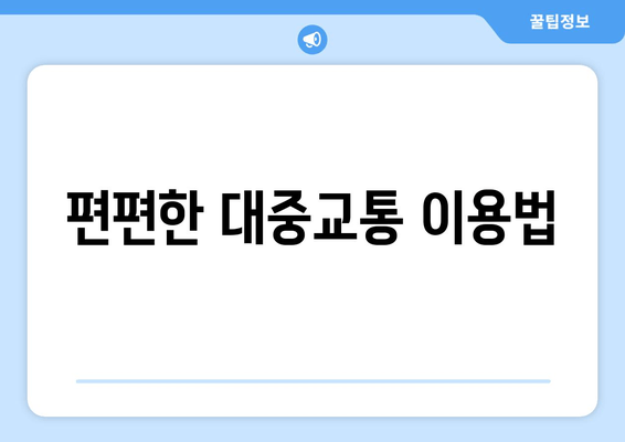 편편한 대중교통 이용법