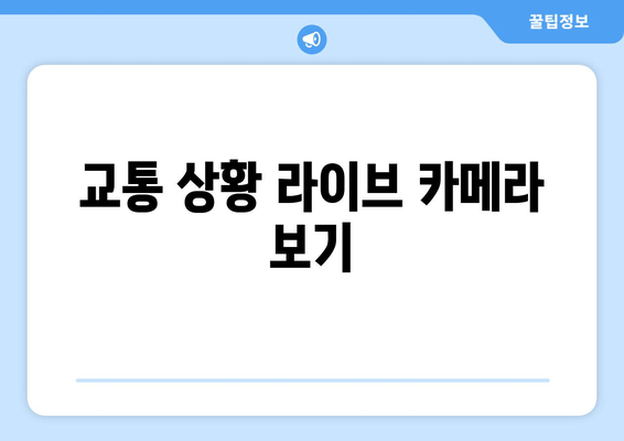 교통 상황 라이브 카메라 보기