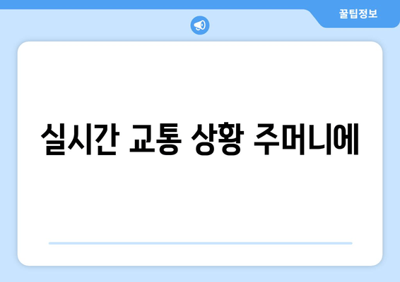 실시간 교통 상황 주머니에