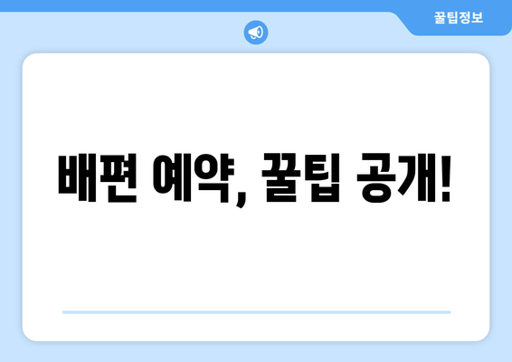 배편 예약, 꿀팁 공개!