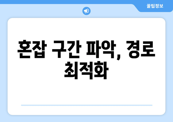 혼잡 구간 파악, 경로 최적화