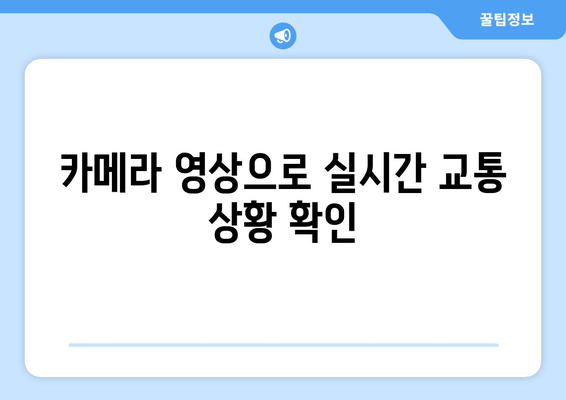 카메라 영상으로 실시간 교통 상황 확인