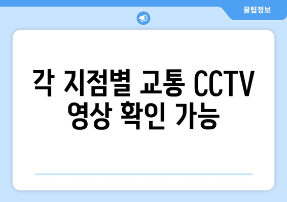 각 지점별 교통 CCTV 영상 확인 가능