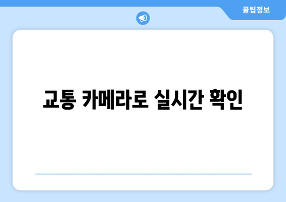 교통 카메라로 실시간 확인