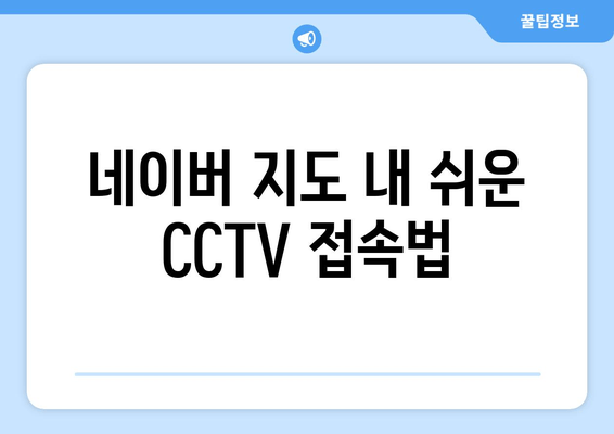 네이버 지도 내 쉬운 CCTV 접속법