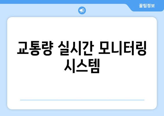 교통량 실시간 모니터링 시스템