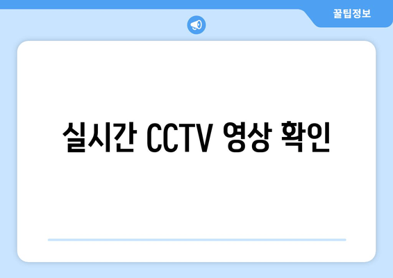 실시간 CCTV 영상 확인