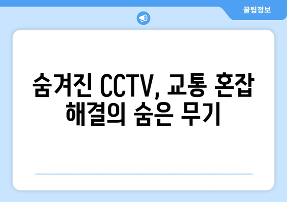 숨겨진 CCTV, 교통 혼잡 해결의 숨은 무기