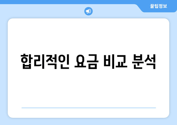 합리적인 요금 비교 분석