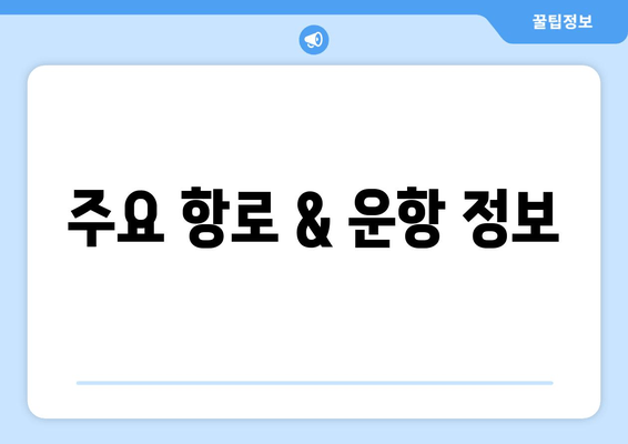 주요 항로 & 운항 정보