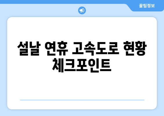 설날 연휴 고속도로 현황 체크포인트