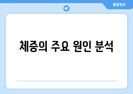 체증의 주요 원인 분석