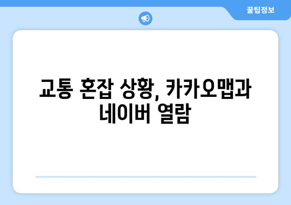 교통 혼잡 상황, 카카오맵과 네이버 열람