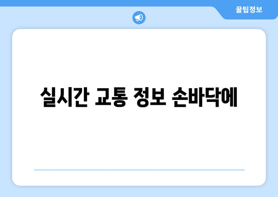 실시간 교통 정보 손바닥에