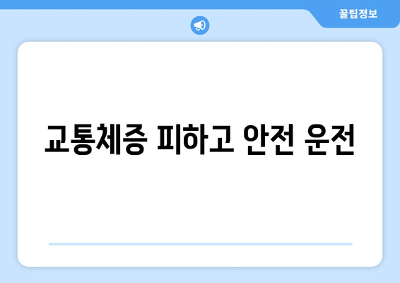 교통체증 피하고 안전 운전