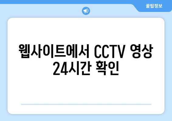 웹사이트에서 CCTV 영상 24시간 확인