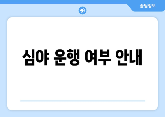 심야 운행 여부