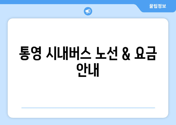 통영 시내버스 노선 & 요금 안내