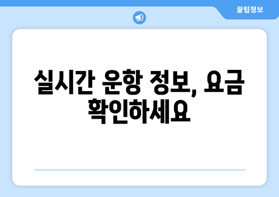 실시간 운항 정보, 요금 확인하세요