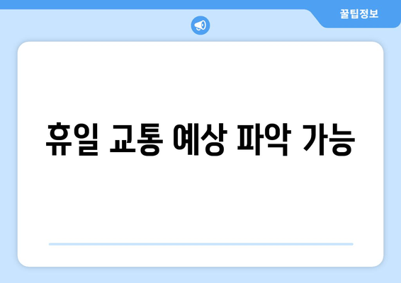 휴일 교통 예상 파악 가능