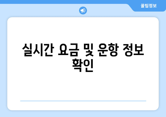 실시간 요금 및 운항 정보 확인