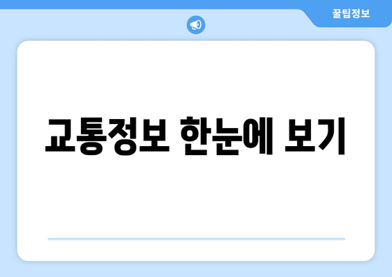 교통정보 한눈에 보기