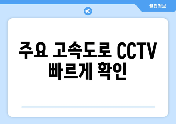 주요 고속도로 CCTV 빠르게 확인