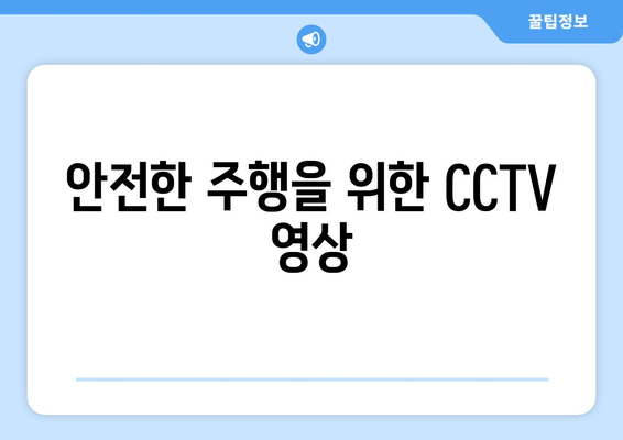 안전한 주행을 위한 CCTV 영상