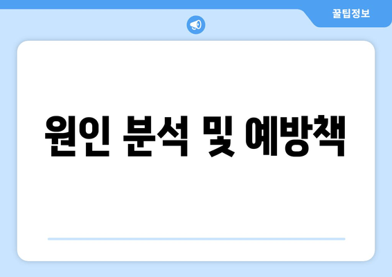 원인 분석 및 예방책